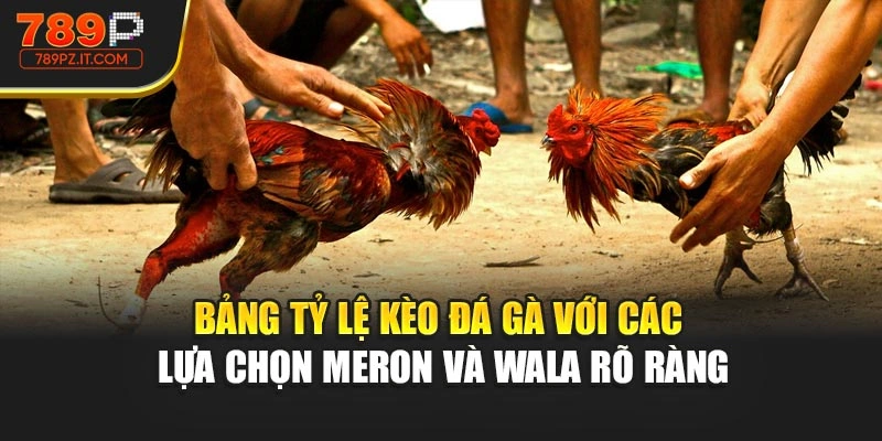 Bảng tỷ lệ kèo đá gà với các lựa chọn Meron và Wala rõ ràng