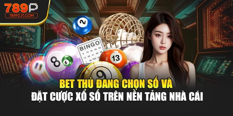 Bet thủ đang chọn số và đặt cược xổ số trên nền tảng nhà cái
